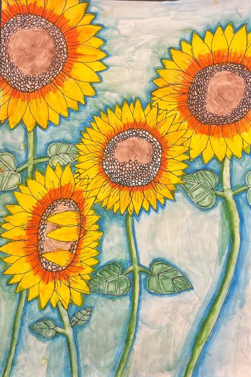 Sunflowers